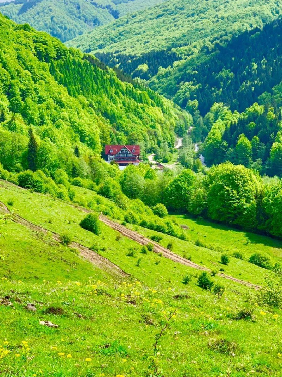 Cabana Izvoarele Doftanei Trăisteni Zewnętrze zdjęcie