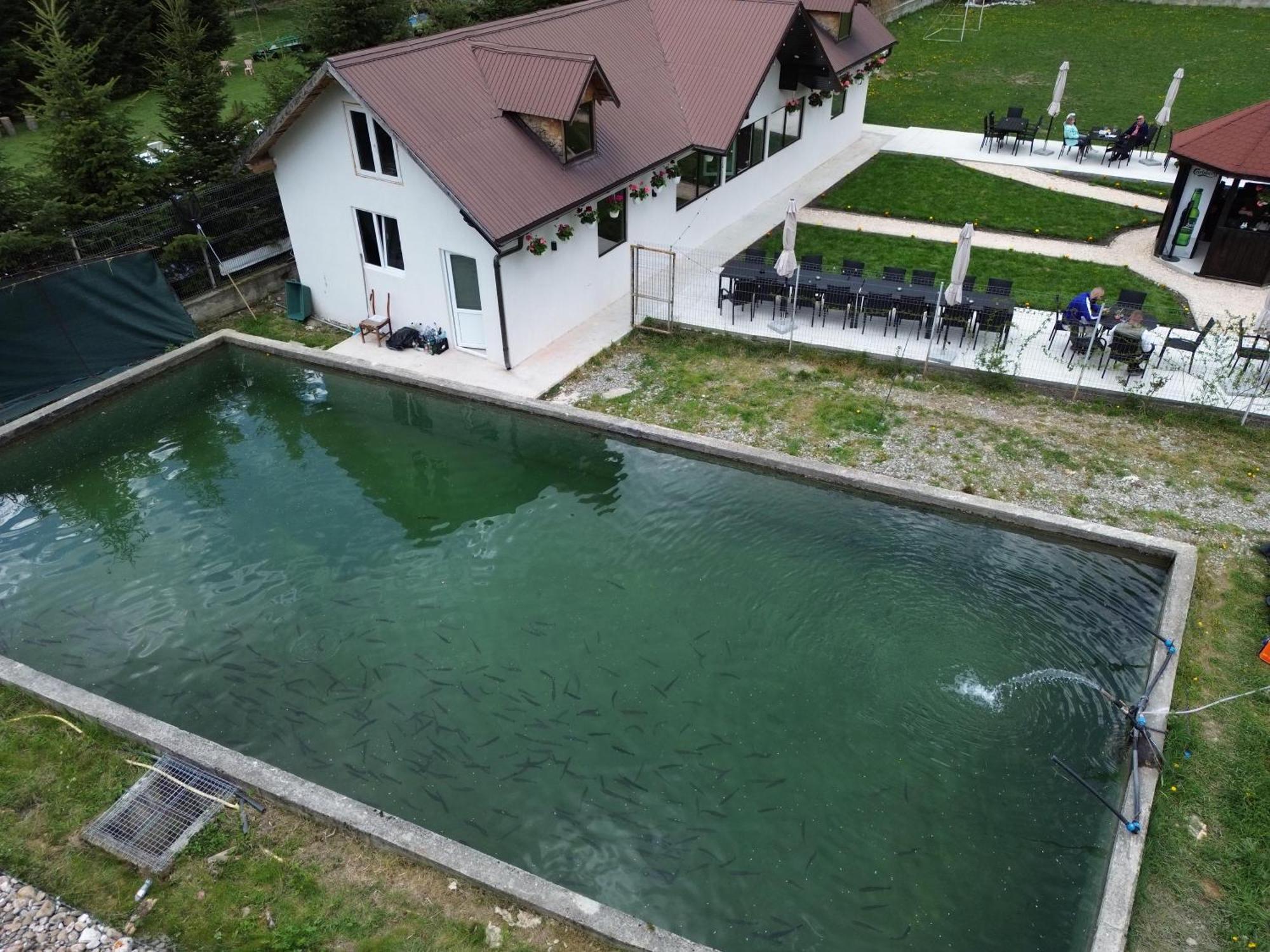 Cabana Izvoarele Doftanei Trăisteni Zewnętrze zdjęcie